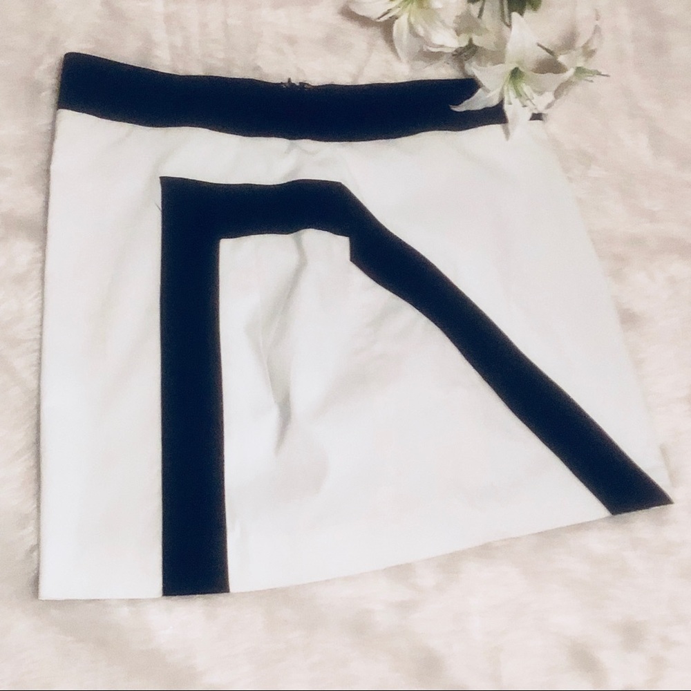 Black and White Mini Skirt